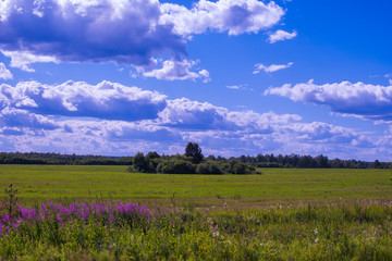 Fototapeta na wymiar rural landscape. field and clouds in summer
