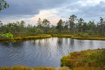 Kemeri National Park, Latvia