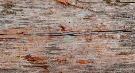 Wood texture background. Horizontal crack on the centre of the board. Old wood surface with old pieces of paint