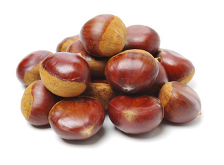 Chestnut on a white background.