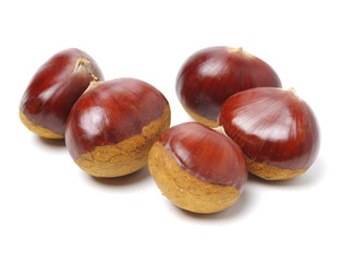 Chestnut on a white background.