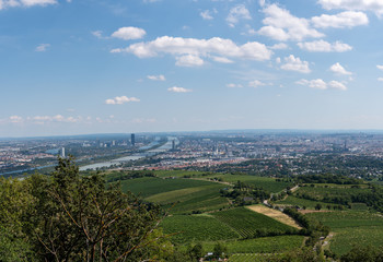 Fototapeta na wymiar Blick auf Wien und die Donau vom Kahlenberg aus