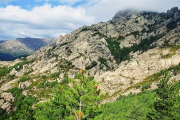 Naklejka na ściany i meble Corsica-outlook at the Bavella