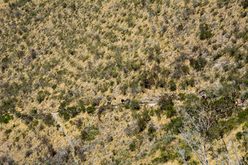 walking the inca trail
