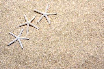 Fototapeta na wymiar Top view Starfish resting on the sand