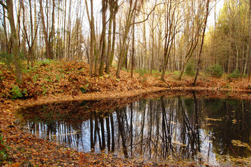 The dark expanse of a small lake reflects the autumn forest of orange on the shore
