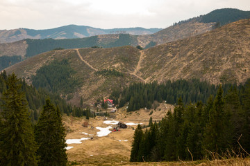 Deforestation in Low Tatras