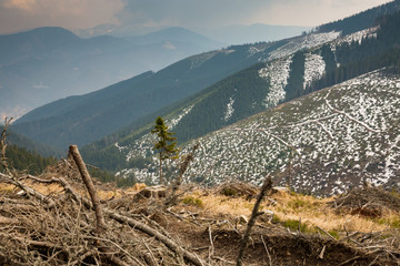 Deforestation in Low Tatras