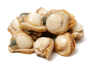 Raw scallop.
