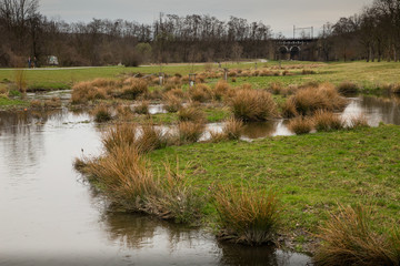 Revitalised river Rokytka in Prague, Czech republic