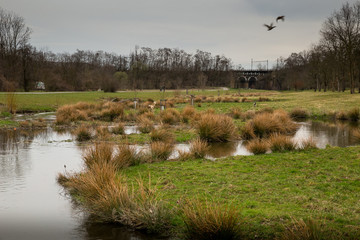 Revitalised river Rokytka in Prague, Czech republic