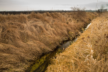 Canalized river in the field