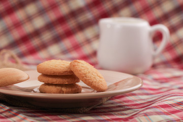Round sweet cookies. Delicious dessert with high sugar and carbohydrate suitable for eating with milk and tea or coffee on color and white background with colorful placemat