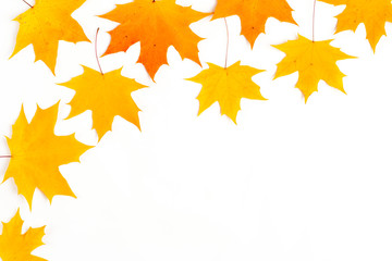 Autumn composition, maple leaves, top view, flat lay. Autumn, fall, halloween concept
