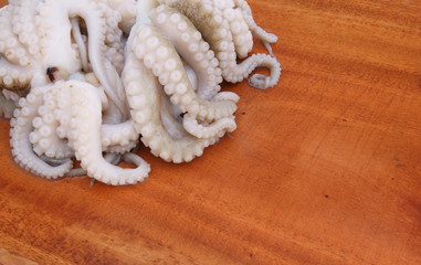 Seafood cooking concept, octopus on wooden background