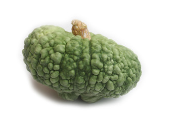 Obraz premium Italian green pumpkin called Marina di Chioggia isolated on white background. Cucurbita maxima
