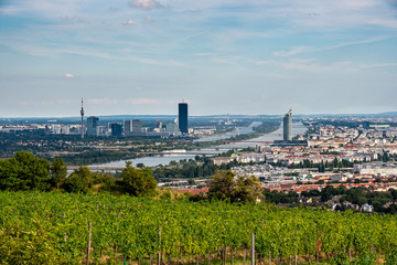 Stadt Panoramamit Blick auf Wien und die Donau vom Nußberg aus mit Wolken