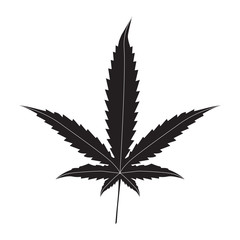 Cannabis Leaves in black and white isolated on white background