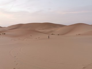 A person is standing alone in the desert on a abandoned trail