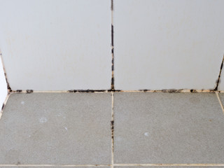 Wide angle, germs, mold, bacteria along the tile groove