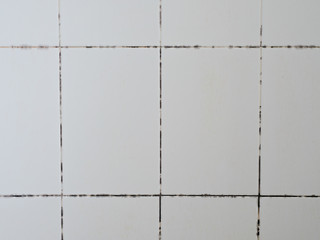 Wide angle, germs, mold, bacteria along the tile groove