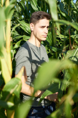 Young man on the interior of a corn field