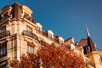 View through orange foliage on a house in Paris, France. The concept of Autumn time and October.