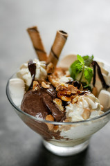 chocolate and mint vanilla ice cream sundae dessert in bowl