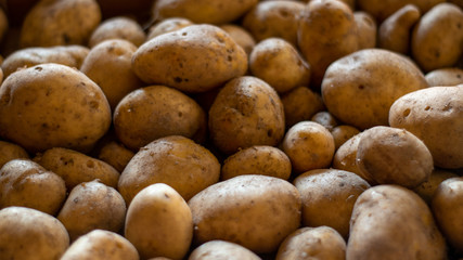 Garden potatoes Background image