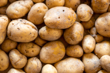 Garden potatoes Background image