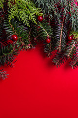 Creative layout made of Christmas tree branches on red background.