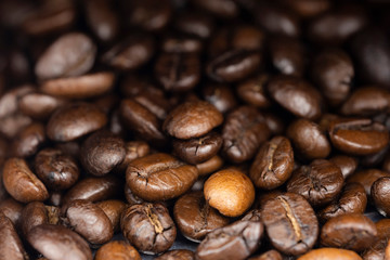Roasted coffee beans background, Close Up mixture of different kinds of coffee beans.