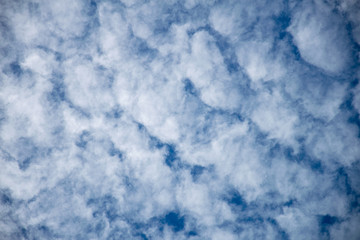 Obraz premium Unusual looking fluffy white clouds on a blue sky – symbol for climate, meteorology ant atmosphere