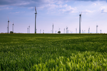 Windräder am Feld grüne energie