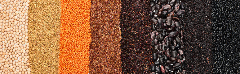 panoramic shot of black beans, rice, quinoa, red lentil, buckwheat and chickpea