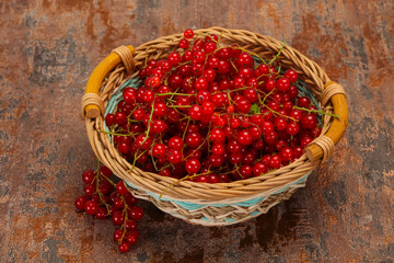 Sweet tasty fresh Red currant