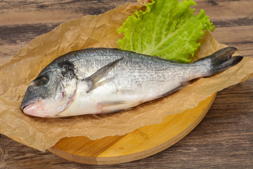 Raw Dorada fish  for cooking