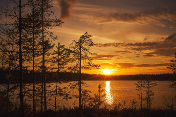 Fototapeta na wymiar Sunset in Karelia near the lake