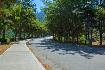 cedar pine alley and paved road with sidewalk. sky and mountains in the background