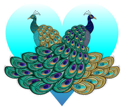 bright postcard with the image of two peacocks on the background of a heart