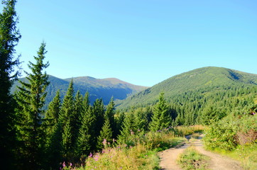 Obraz premium Beautiful view of the mountains on a sunny summer day