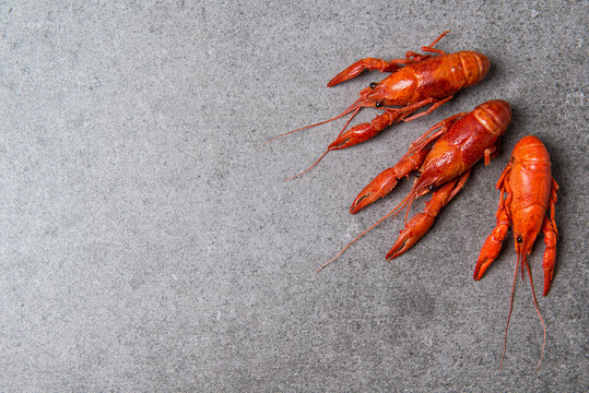 Boiled crayfish on a stone table, top view