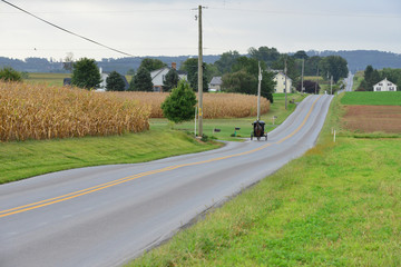 Fototapeta na wymiar An Amish carriage driver in Pennsylvania.
