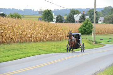 An Amish carriage driver in Pennsylvania.