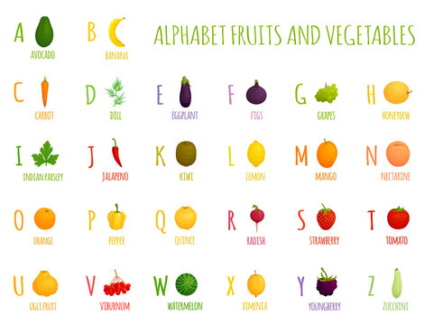 Alphabet with vegetables and fruits for children. Learning the letters and names of food. Vector illustration for schools and kindergartens. Cartoon style poster for kids.