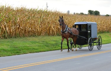 An Amish carriage driver in Pennsylvania.
