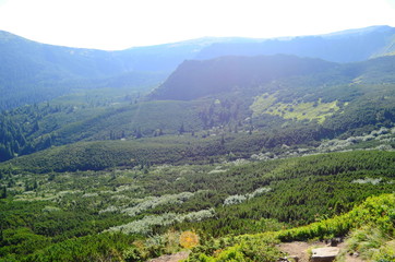 Beautiful view of the mountains on a sunny summer day