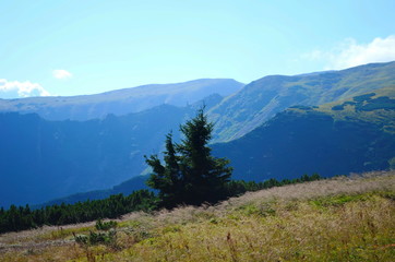 Obraz premium Beautiful view of the mountains on a sunny summer day