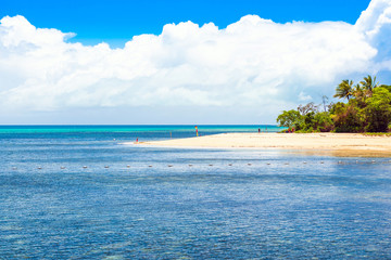 View of the seascape, Cairns, Australia. Copy space for text.