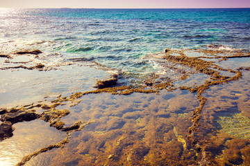 Rocky seashore. Rosh Hanikra nature reserve. Israel